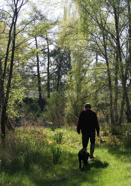 Going fish on the river Spey