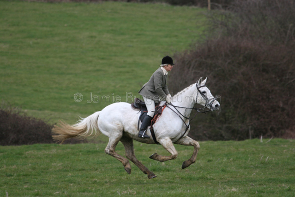 Harmony in motion