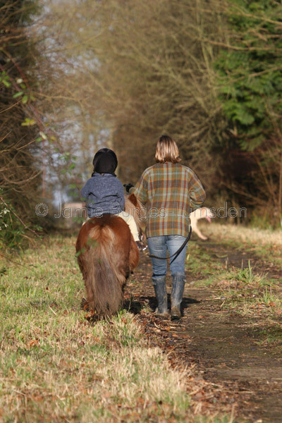 Oh for a horse