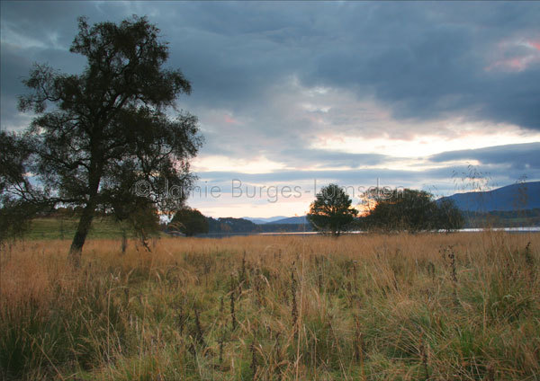 Highland Dawn