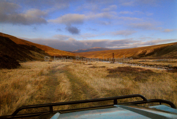 The long road home