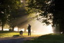 Early morning, walking the dog, weekley Northamptonshire
