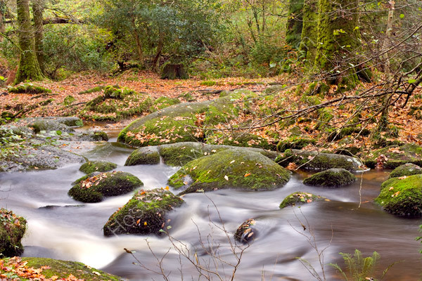 Becky Falls