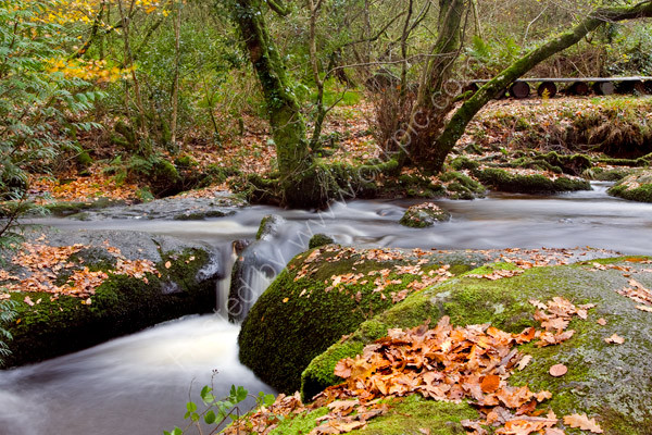 Becky Falls