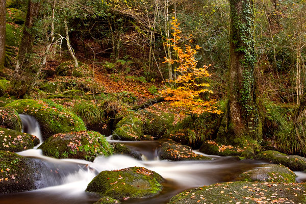 Becky Falls