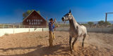 Ben working in the corral