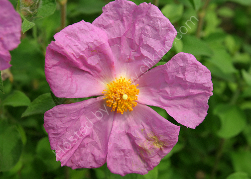 Taken at the Eden Project