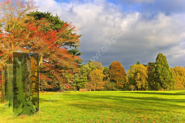 Westonbirt Arboretum