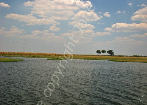 View of Chobe River to Zambia