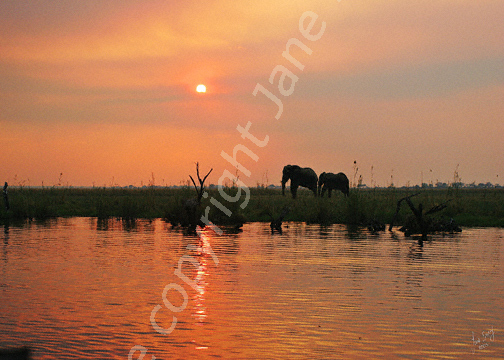 Sunset over Chobe River