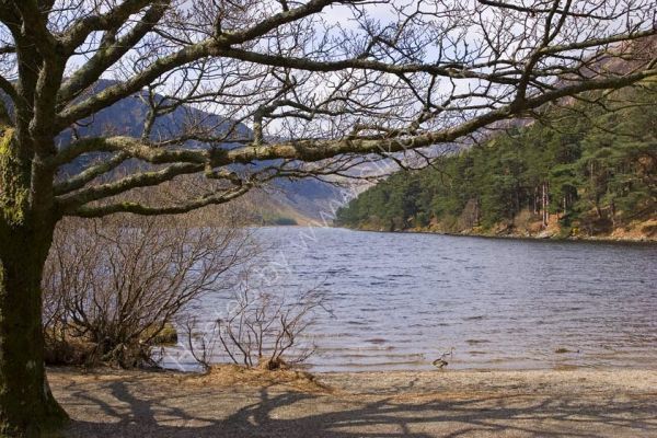 Upper lake at Glendalough