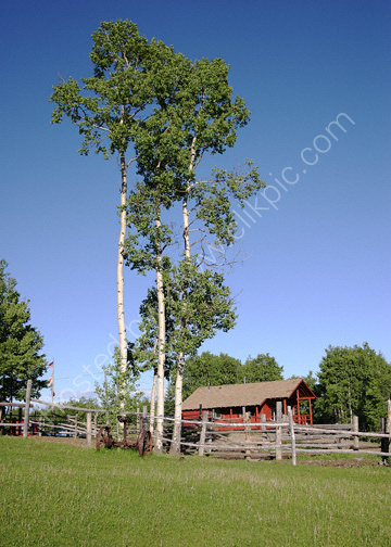 Homeplace Ranch, Priddis, Alberta