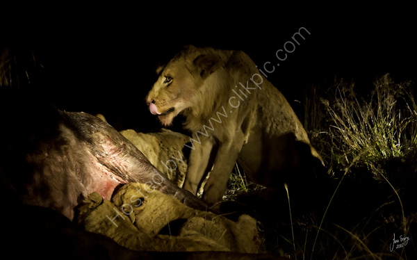 At the kill
