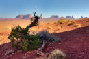 View towards Monument Valley from near the Tear Drop.