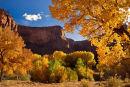Autumn colours in Canyon De Chelly