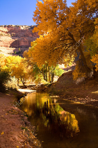 Reflections Canyon De Chelly