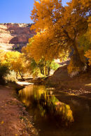 Reflections Canyon De Chelly