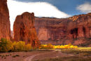 Canyon De Chelly 