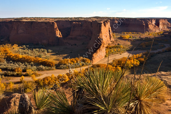 Into Canyon De Chelly from Tsegi overlook.
