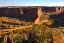 Into Canyon De Chelly from Tsegi overlook.