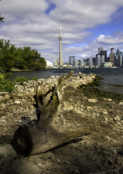 View of Toronto from Toronto Island Park 15th September 2007