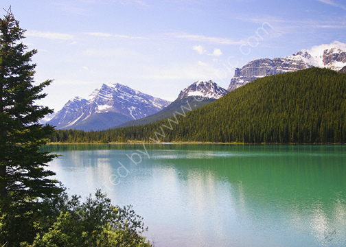 Peyto Lake, Alberta