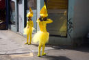Reflecting on Carnival