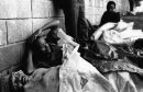 The Homeless