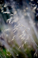 Billowing