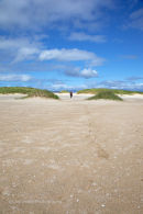 Scarista