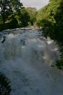 Swallow Falls, North Wales