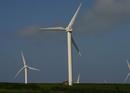 Windfarm