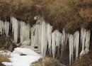 Icicles 