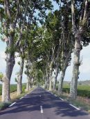 Southern France