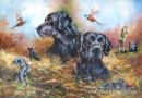 Identical Vintage (20 x 28 inches)