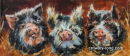 Kune Kune Pigs (SOLD)