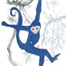 Amazon Monkey