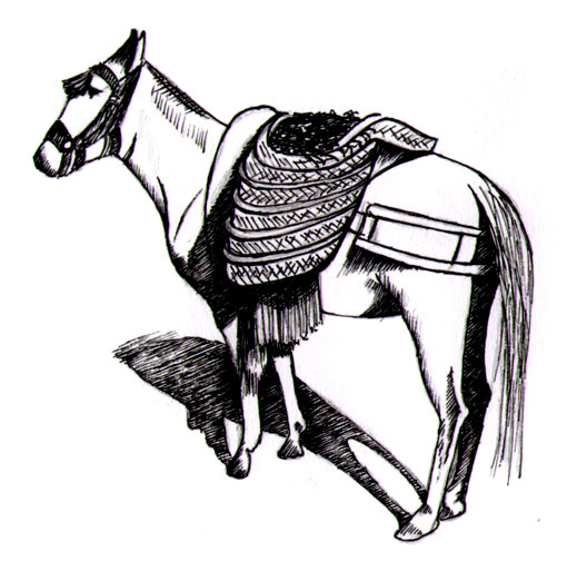 Panniers of Esparto on a mule.