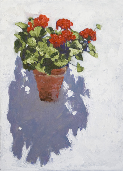 Geranium and shadow