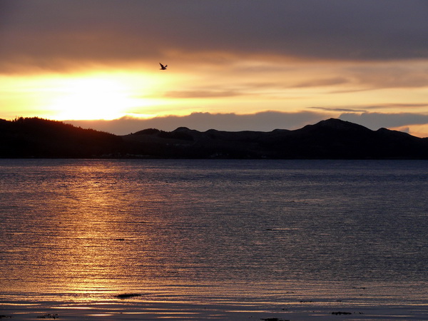 Loch Fyne Sunset