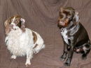 Midge and Harvey