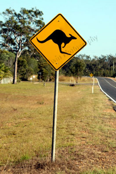 Kangaroo road sign