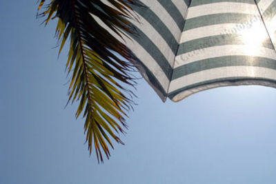 Beach umbrella