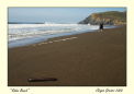 Rodeo Beach