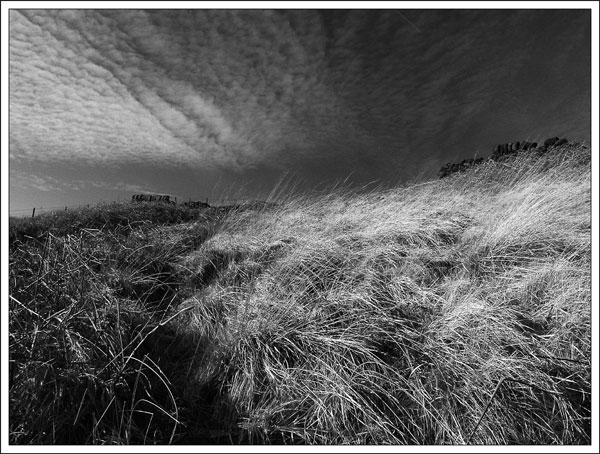 Within Clough