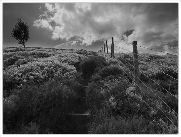 Dimmin Dale, Luddenden