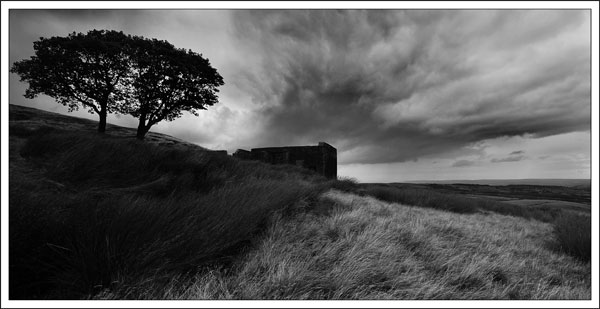 Top Withins