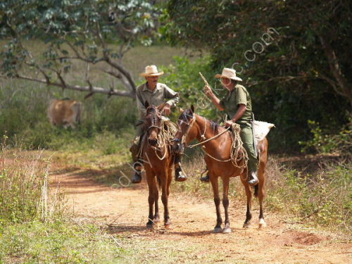 Farmers conversing on horseback