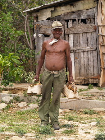 Smallholder with baskets of custard apples