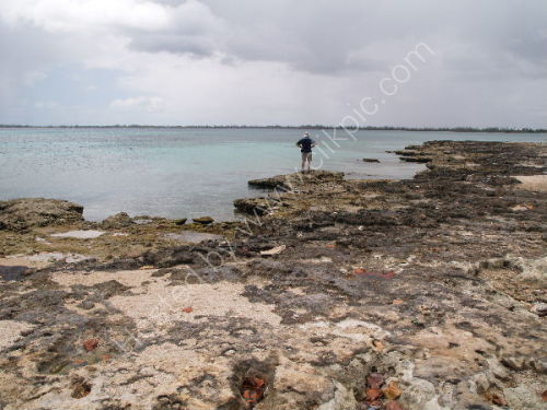 Bay of Pigs
